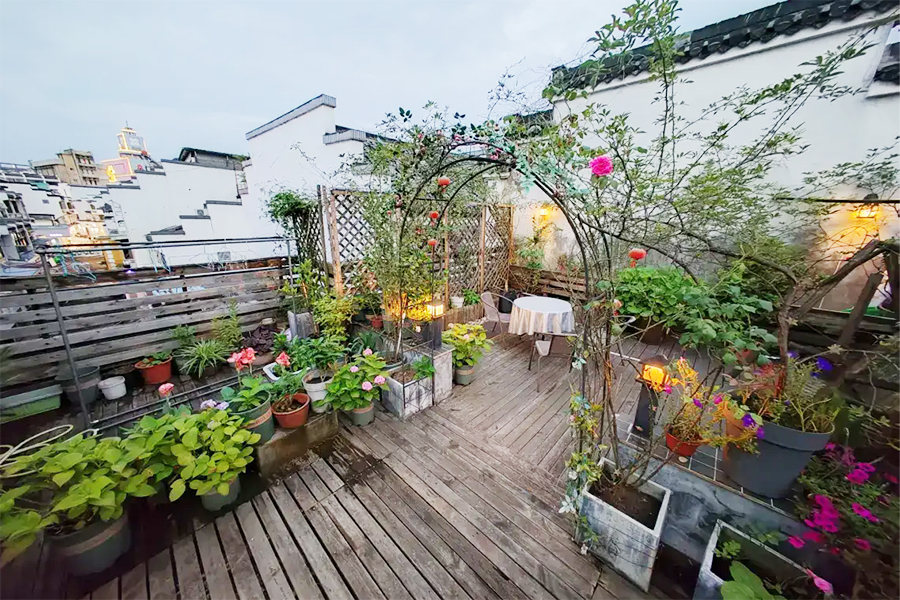 ��ɽ����������