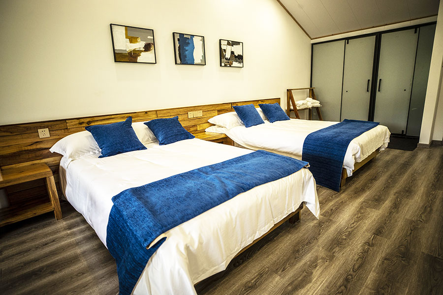 ����ʯ����԰����