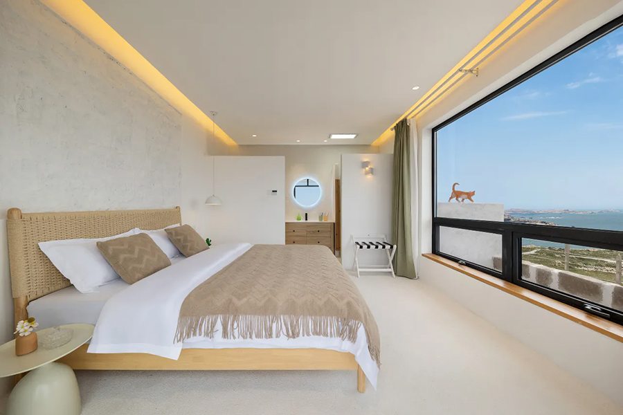 ƽ̶������������