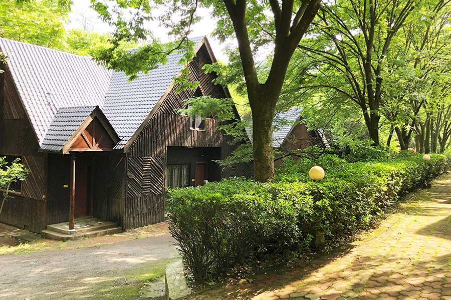 ������Դɽׯ